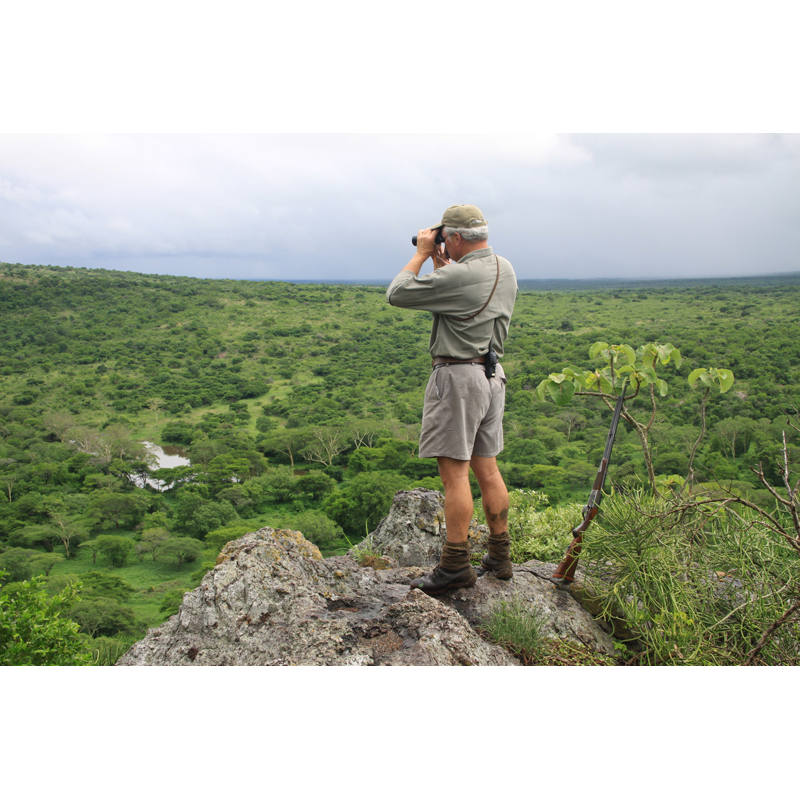 Chasseur en observation durant un safari de chasse en Afrique du Sud