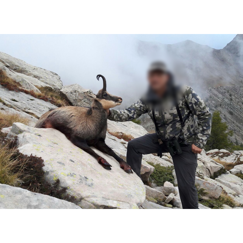 chamois hunting in the French Alps