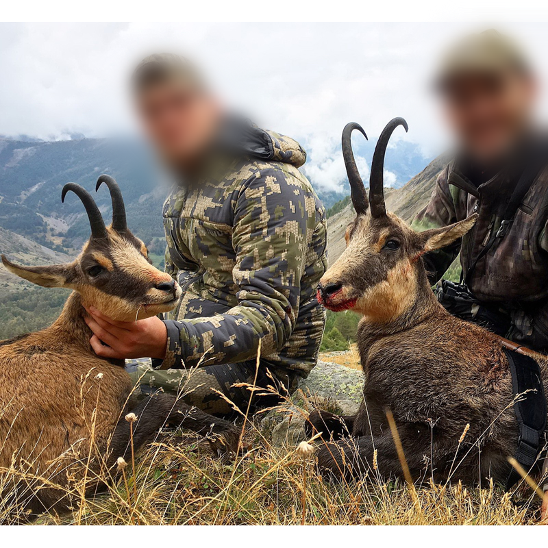 chamois trophies and hunters in the French Alps