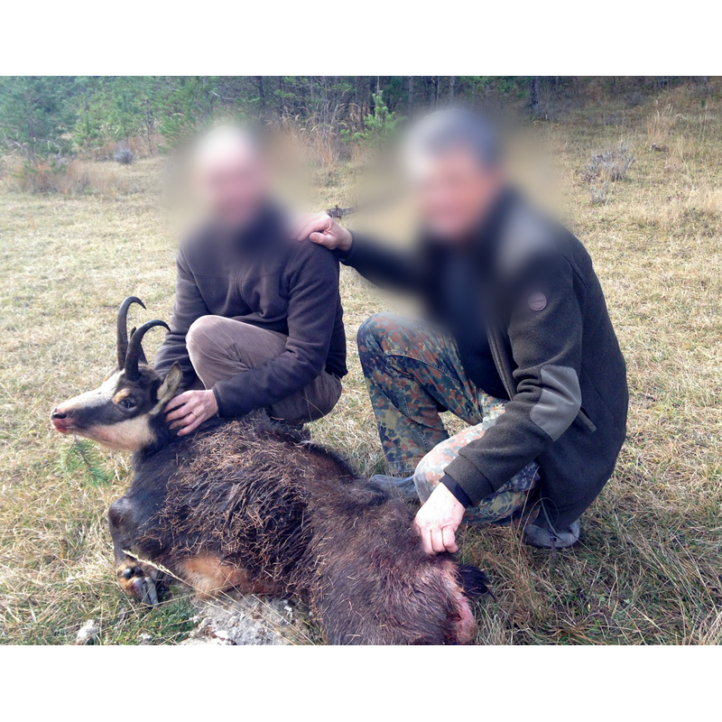 chamois hunt with experienced PH in France