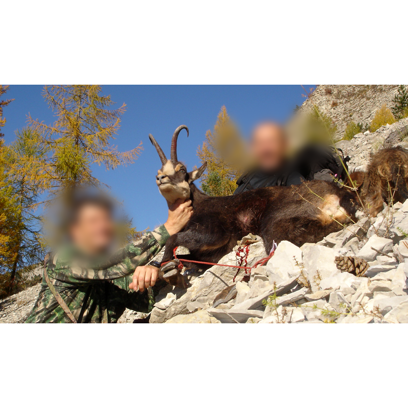 hunters and chamois trophy in the French mountains