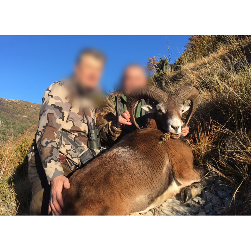 hunters pose with mouflon trophy in the French country side