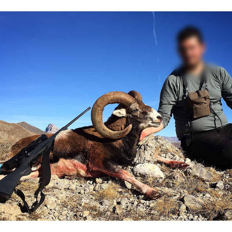 mouflon hunter in France