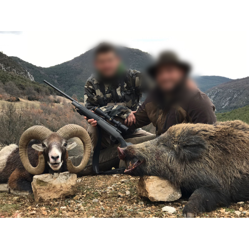 mouflon and wildboar hunted in France