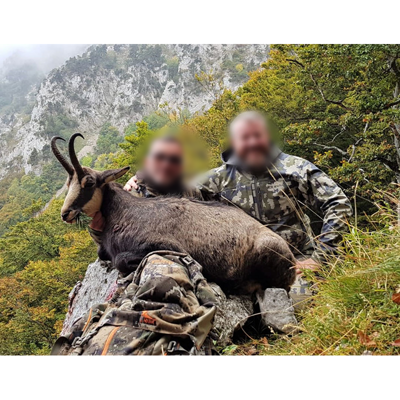Vercors chamois hunt in France in October