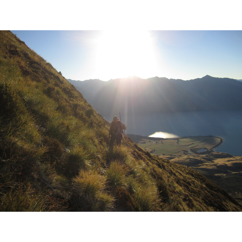 chasseur à flanc de montagne en Nouvelle-Zélande