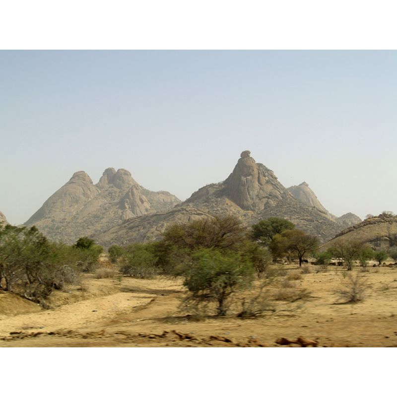 hunting area of Melfi in Chad
