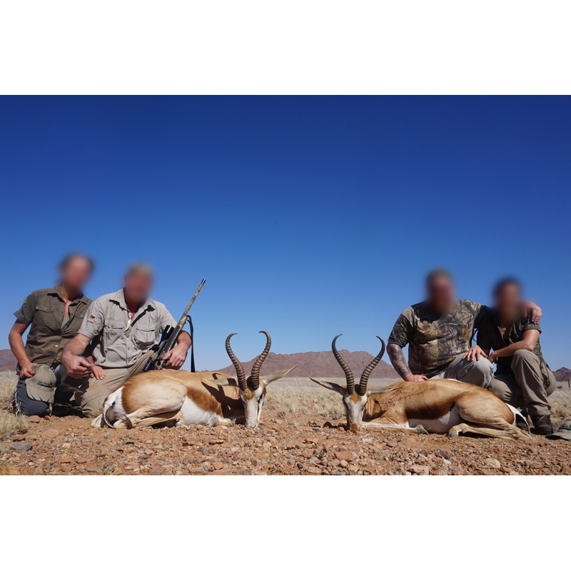 chasseurs et springboks en Namibie