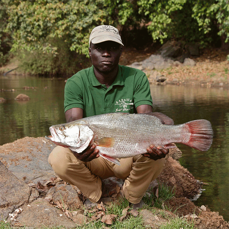 Fishing on Faro hunting camp - pêche sur la zone de chasse Cameroun
