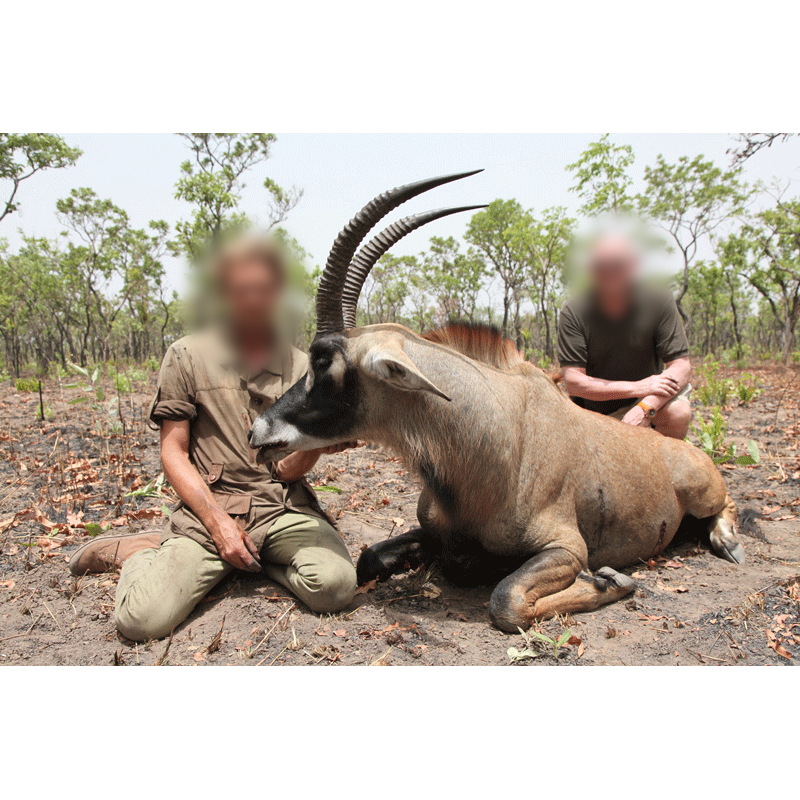 roan antelope shot on Faro hunting area in Cameroon