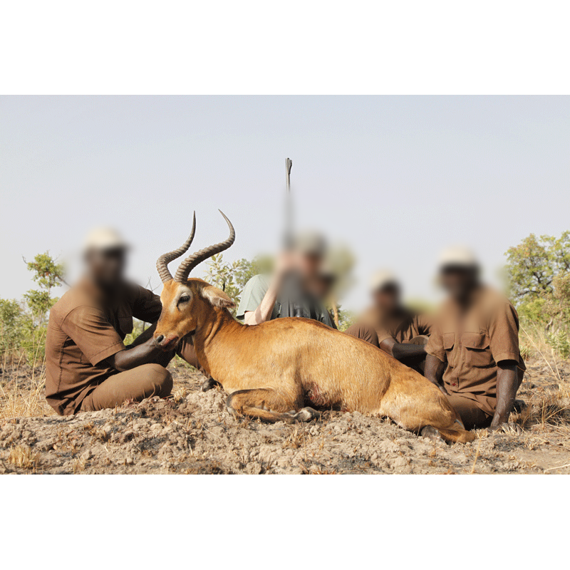 hunter and trackers with central kob trophy shot in Cameroon