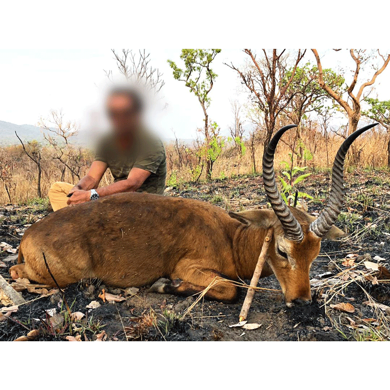 Hunter with a Central Kob trophy taken in Faro area, Cameroon