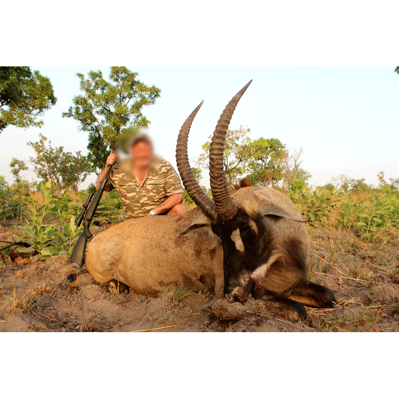 roan antelope trophy with happy hunter on Faro hunting area in Cameroon