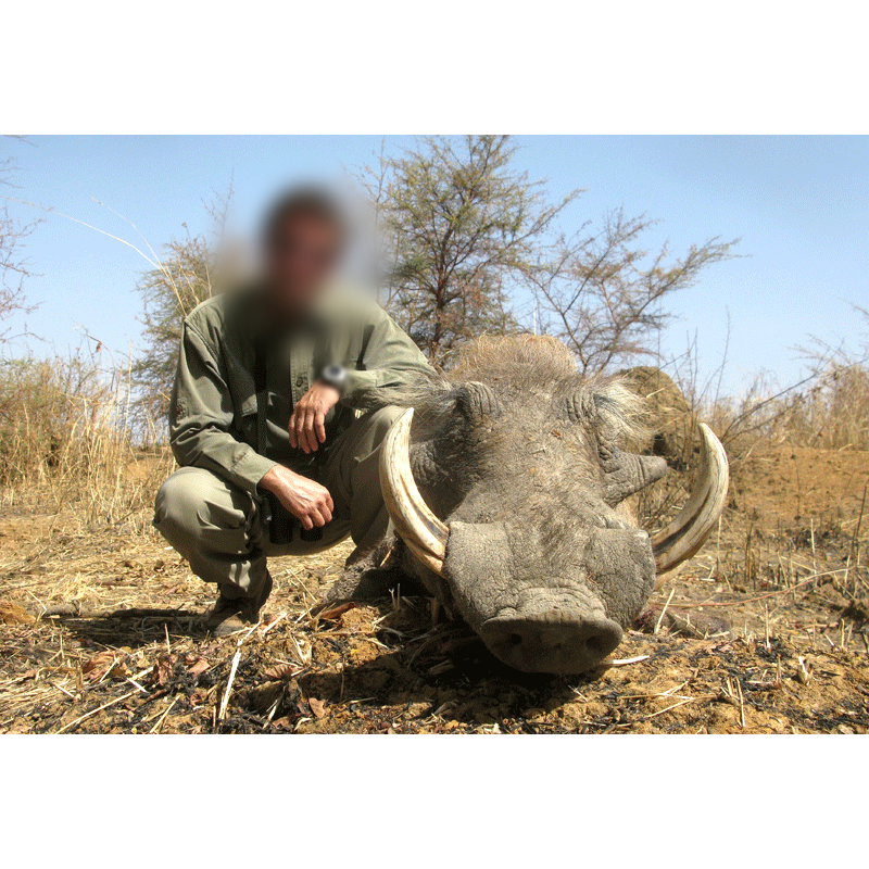 hunter with warthog trophy in Chad
