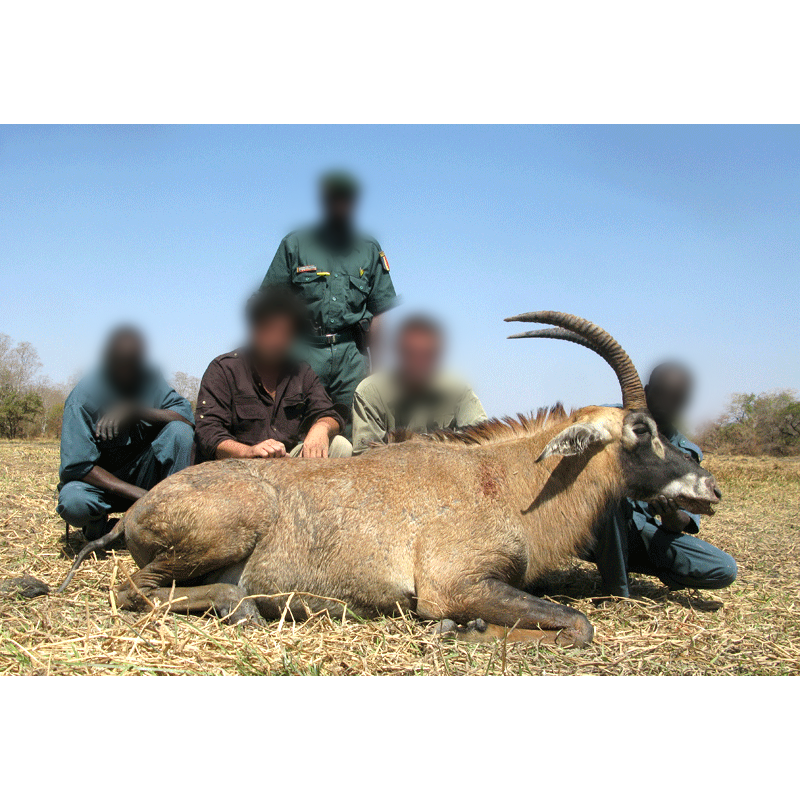 hunting team posing with trophy of roan antelope in Chad