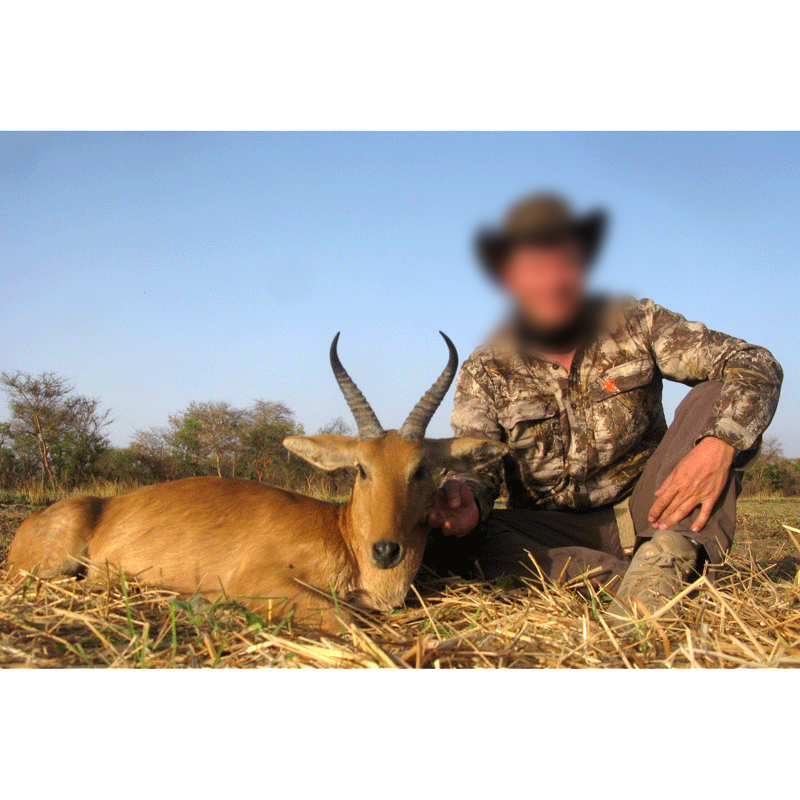Bohor reedbuck harvester during a hunt in Chad