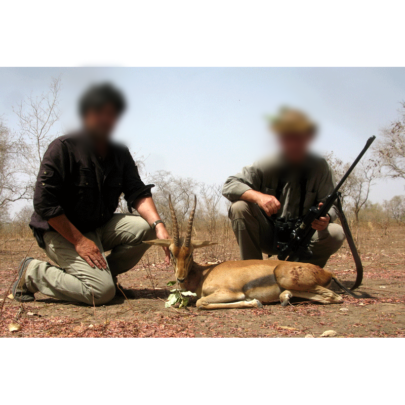 red fronted-gazelle hunt in Chad