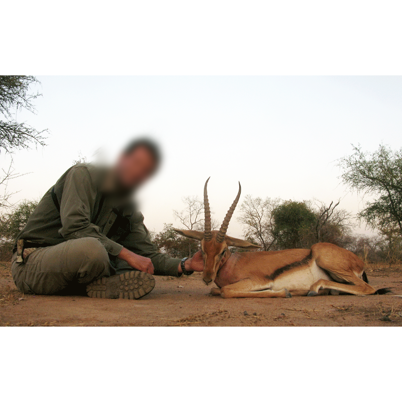 red fronted-gazelle trophy and hunter in Chad