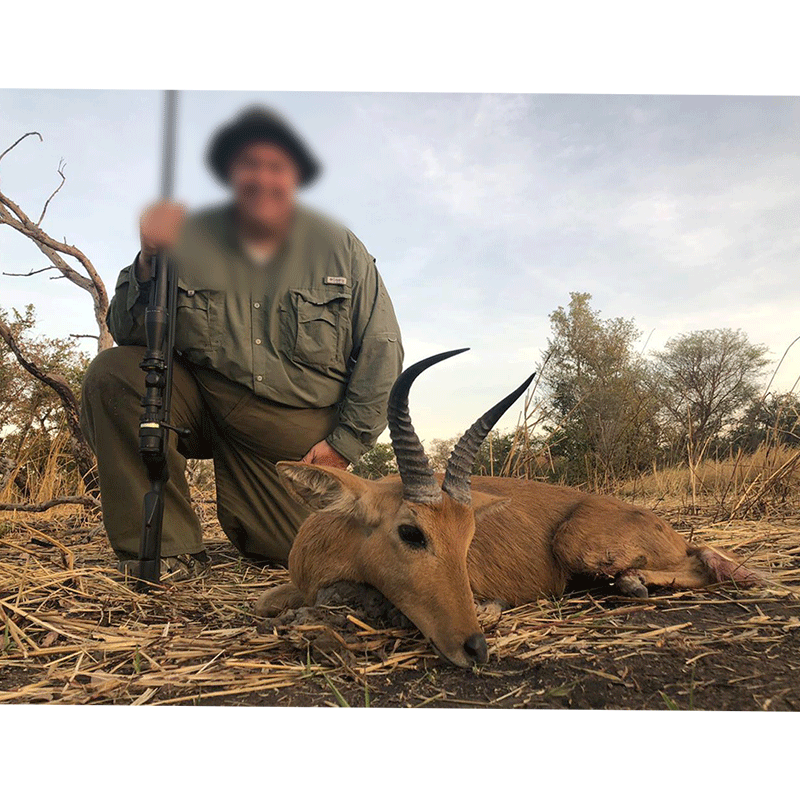 Bohor Reedbuck trophy harvested on Melfi hunting area in Chad in 2019