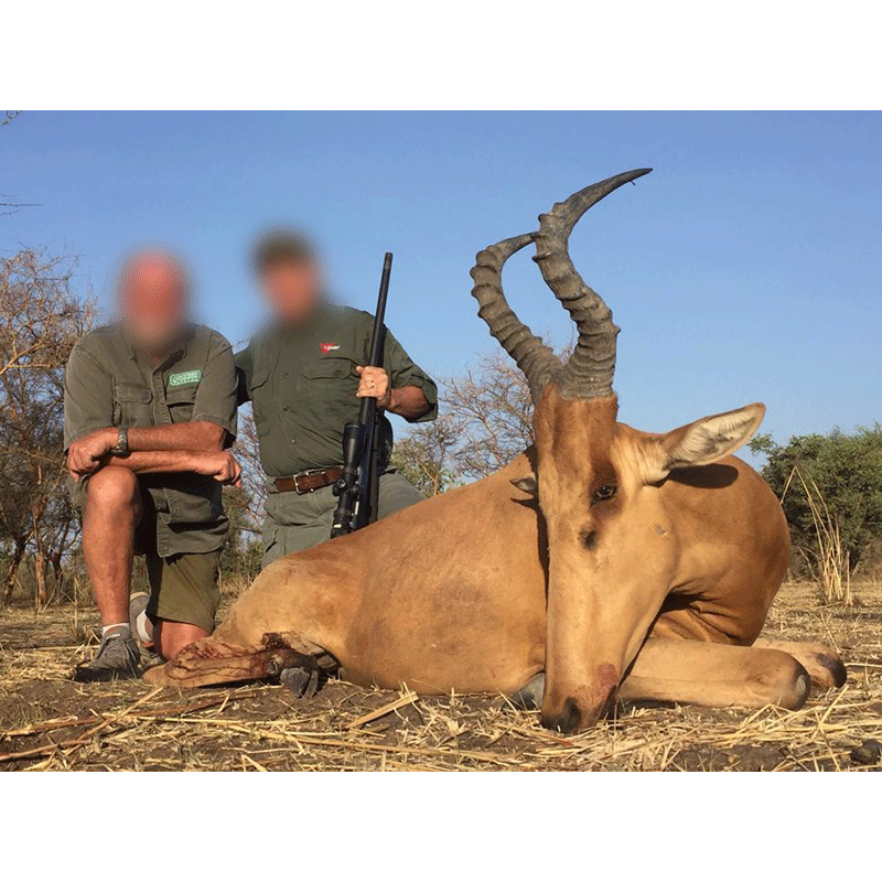 Lelwel Hartebeest trophy with hunter and PH in Chad in 2019