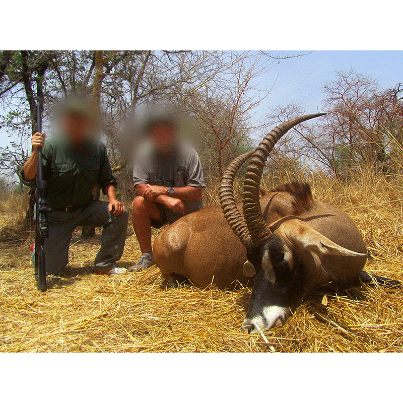 Roan Antelope hunt in Chad in 2019
