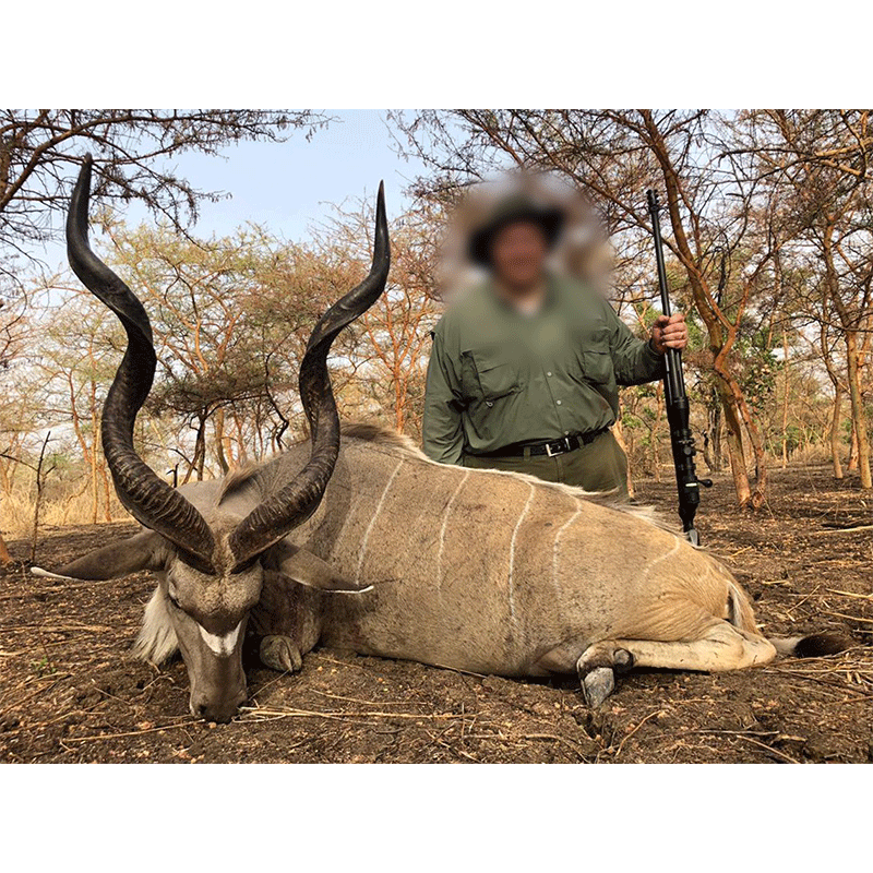 Third Western Greater Kudu trophy of the 2019 season hunted in Chad