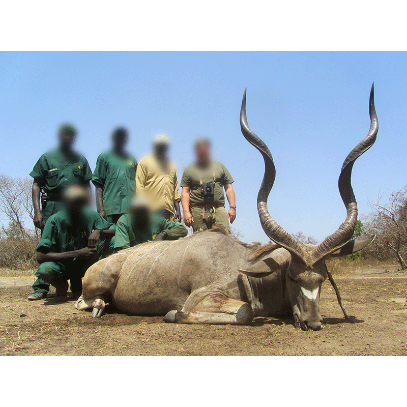 Fourth Western Greater Kudu trophy of the 2019 season hunted in Chad