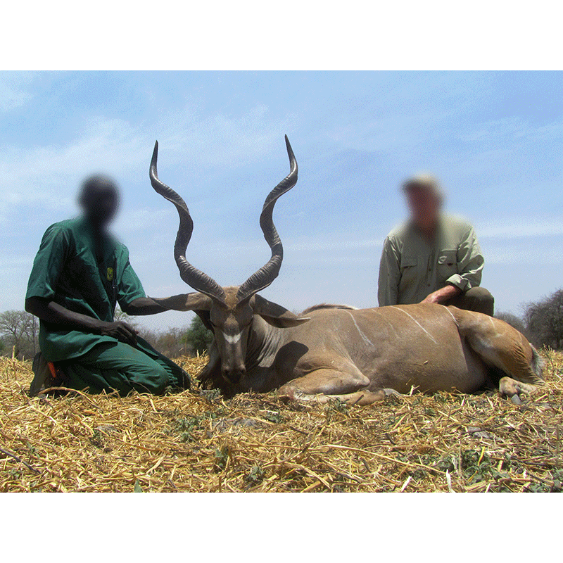 Fifth Western Greater Kudu trophy of the 2019 season hunted in Chad