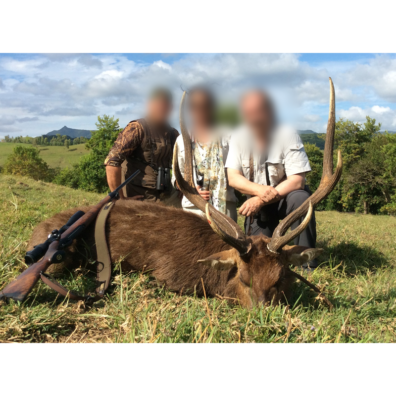javan rusa deer hunt in Mauritius