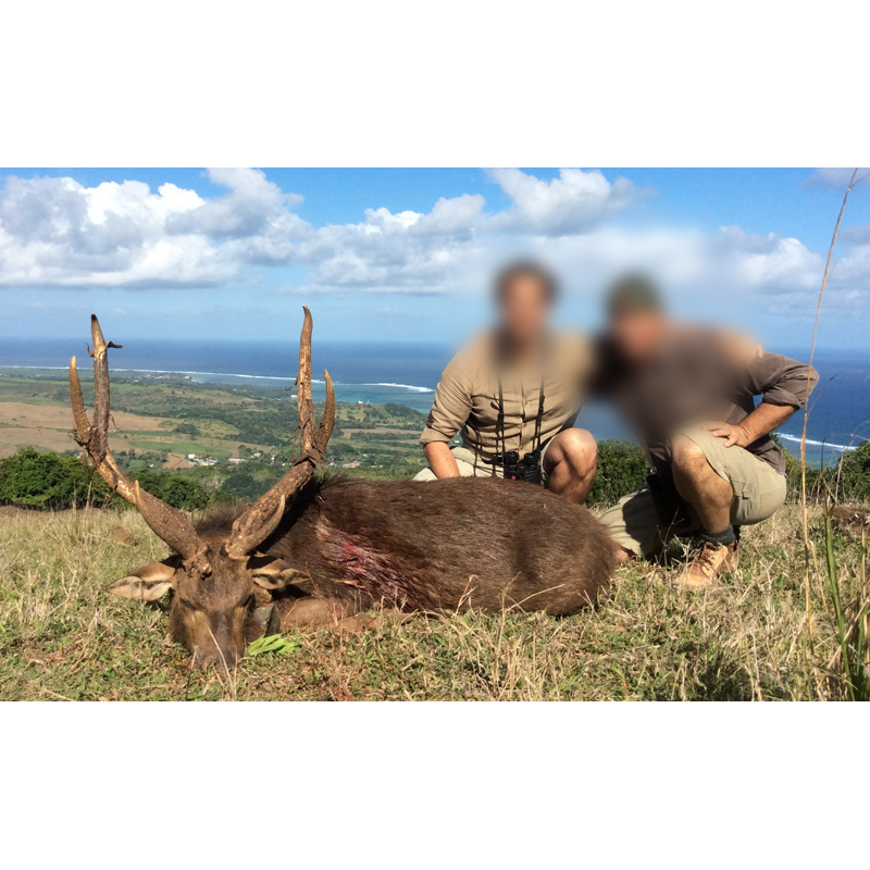 ph and hunter with trophy of Javan rusa deer hunt in Mauritius