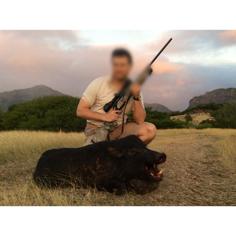 hunter and wild boar hunted in Mauritius