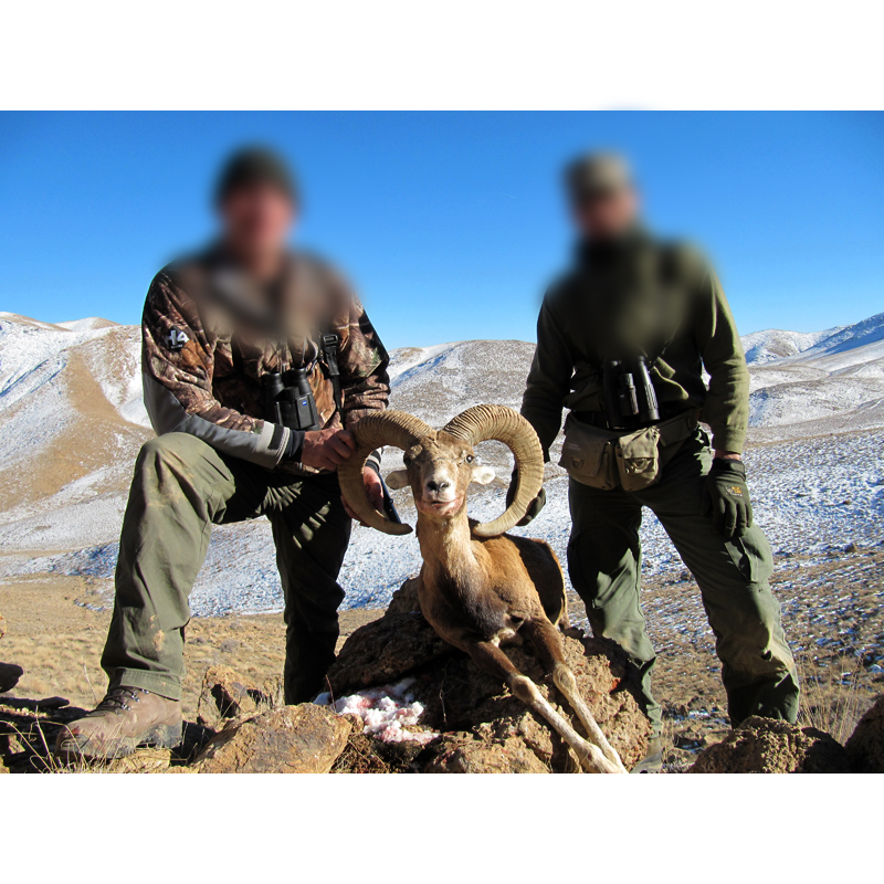 ph and hunter with their Esfahan Sheep in Iran - chasse au mouflon d Ispahan