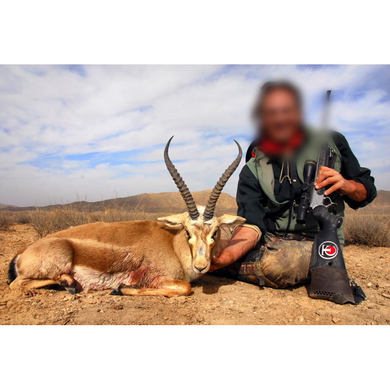 Jim Shockey took a nice goitered gazelle in Iran - gazelle à goitre