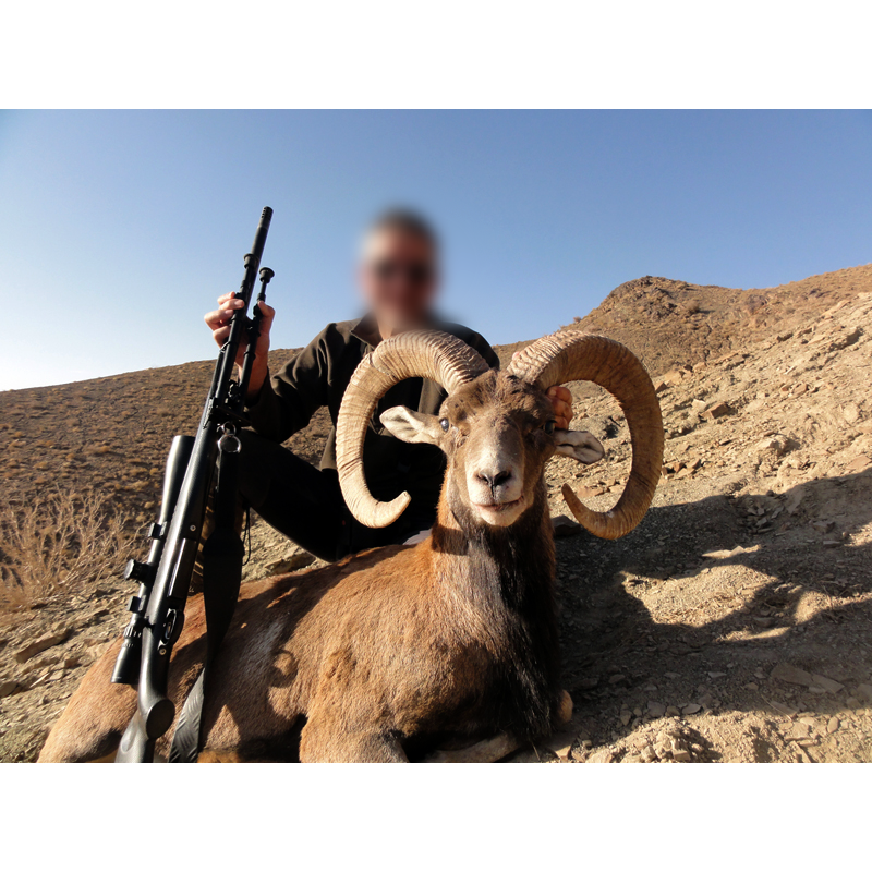 hunter with Kerman sheep trophy in Iran - chasse au mouflon de Kerman