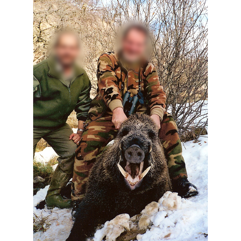 Wild boar hunt in Iran - gros sanglier