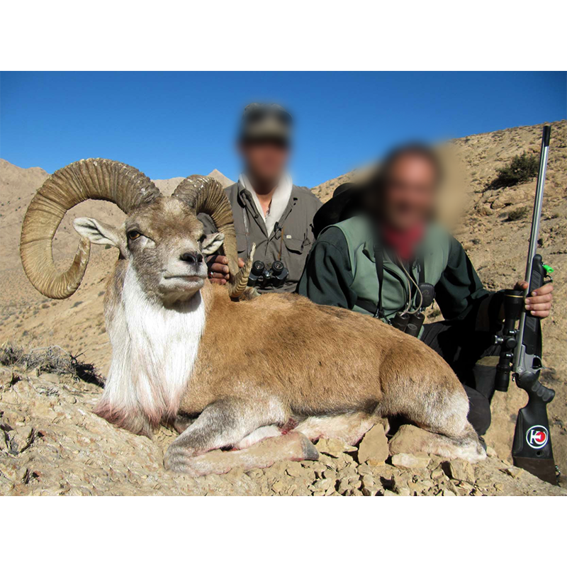 Jim Shockey and his very big Trans Caspian urial in Iran - chasse à l urial transcaspien