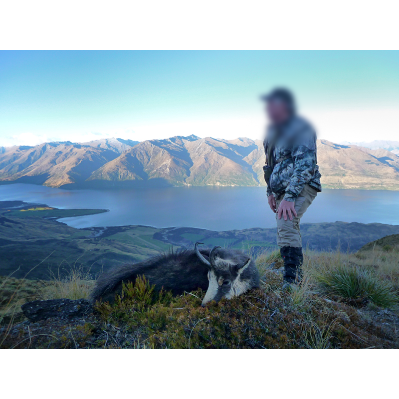 chasse en Nouvelle-Zélande