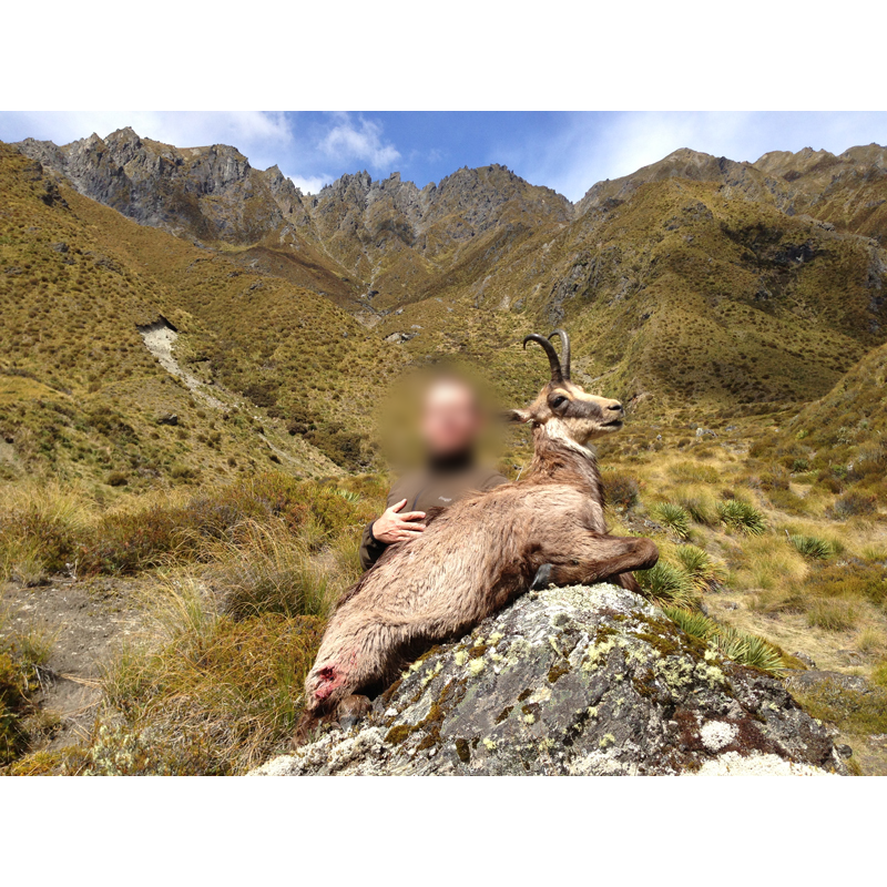 chasseur et son trophée de chamois tiré en Nouvelle-Zélande