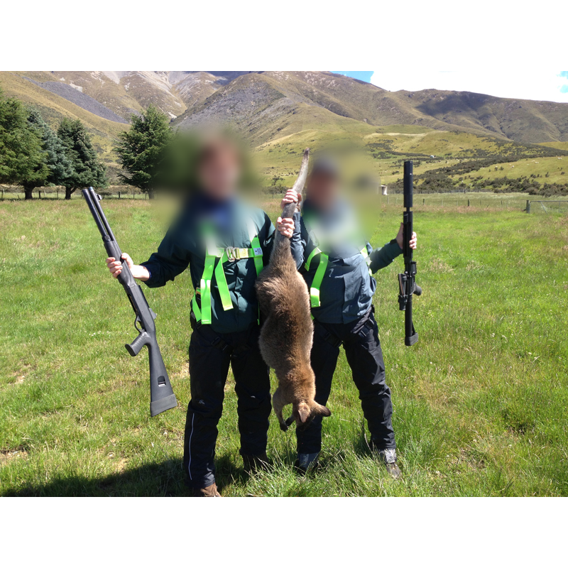 chasseurs avec wallaby tiré en Nouvelle-Zélande
