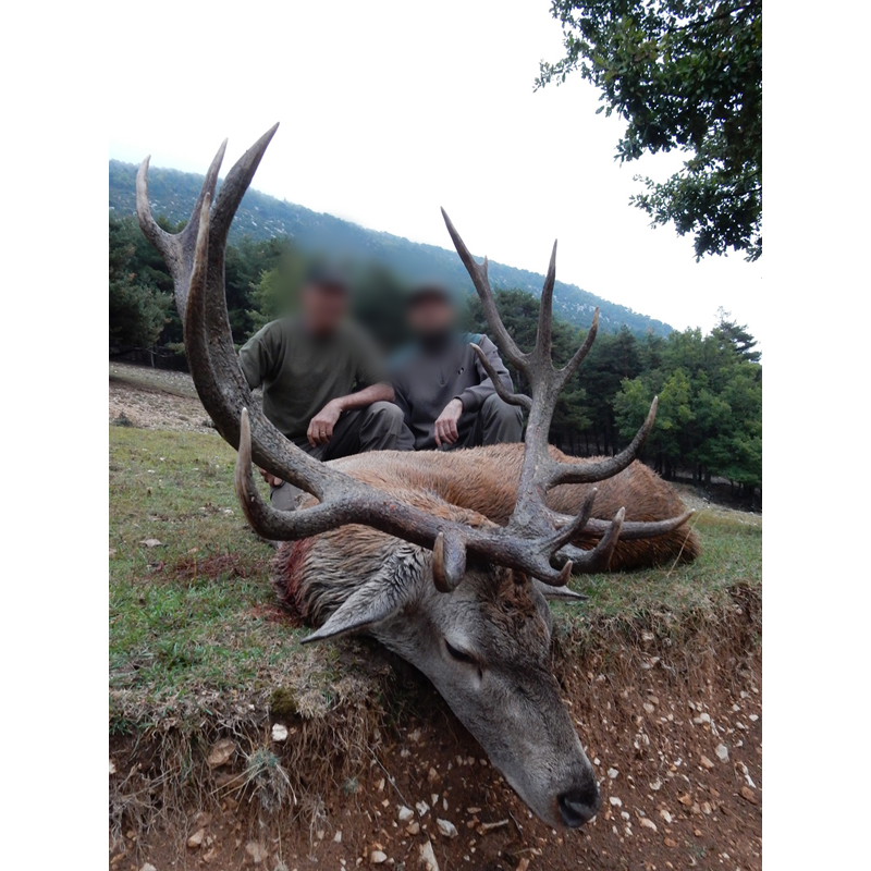 hunters with their red deer trophy in France