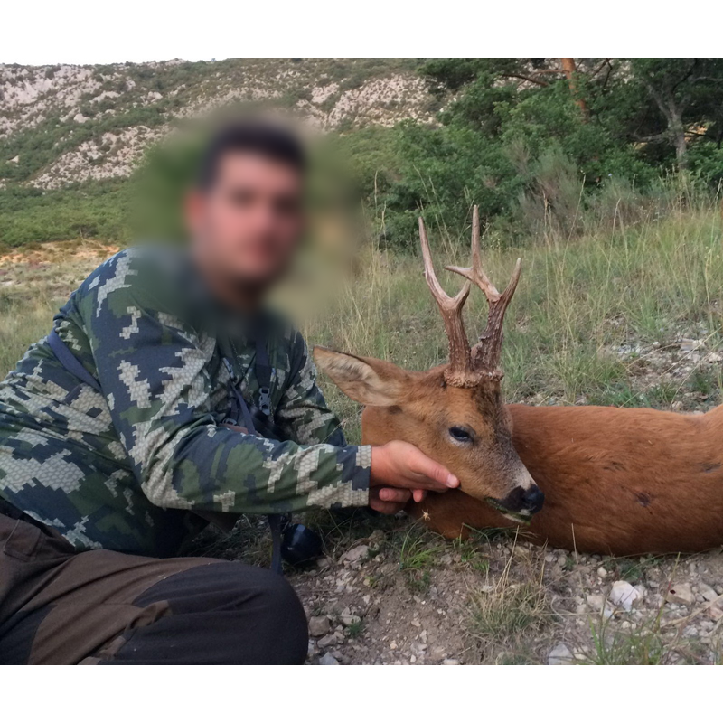superb roe deer trophy hunted in France