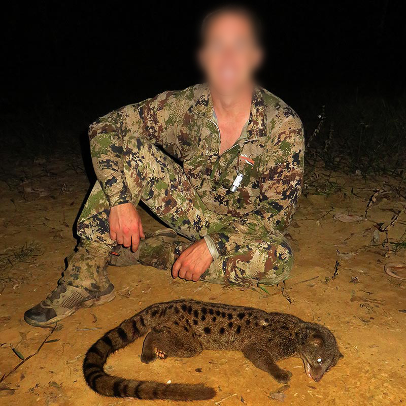 Palm Civet hunted in Gabon