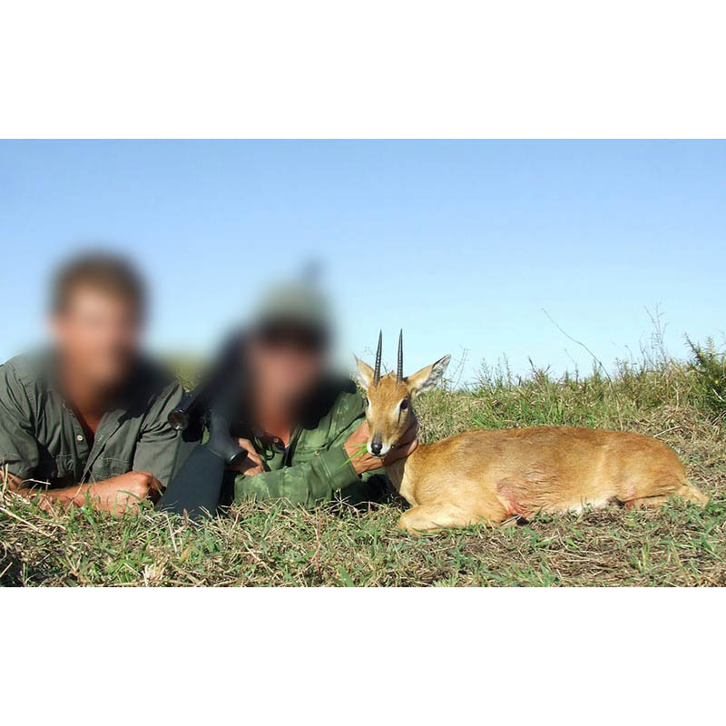 Chasse à l'antilope au Mozambique