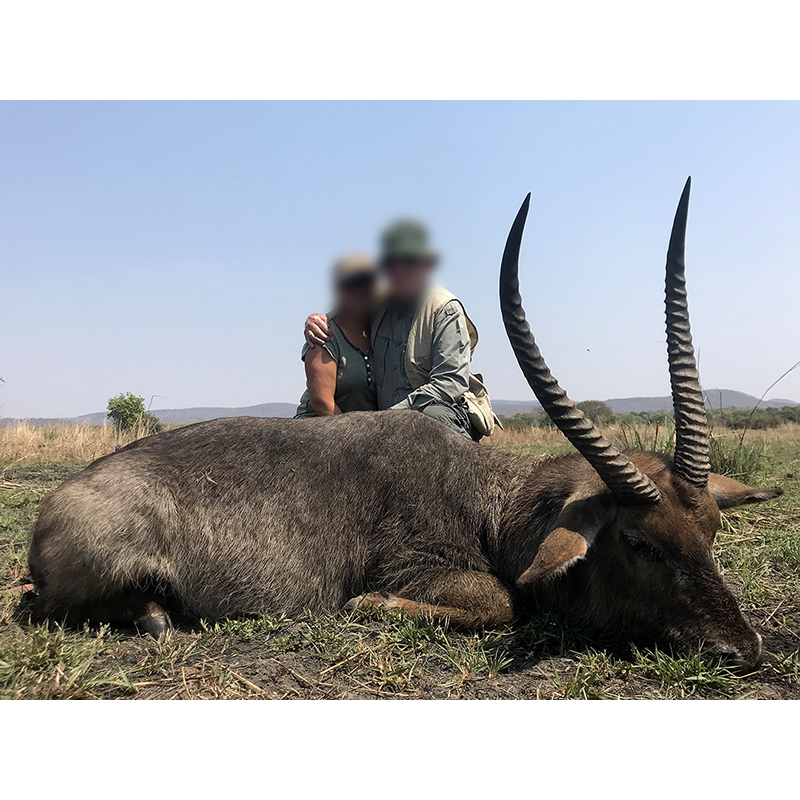 Waterbuck tiré sur une zone de chasse en Zambie